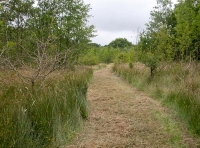 ride near w side of the wood