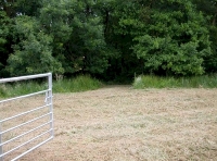 grass area and way in to the streamside
