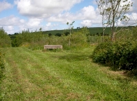 bench at junction in tracks