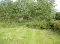 picnic spot in lower half of the wood