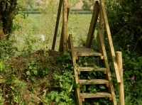 Forda Wood photo 3