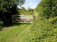 Forda Wood photo 4