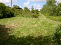 Forda Wood photo 5