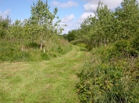 Forda Wood photo 6
