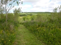near the western boundary