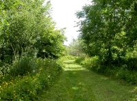 northern part of upper half