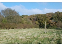 Graddon Wood - SOLD