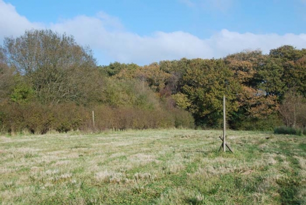 Graddon Wood - SOLD