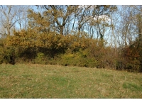 Haines Wood - SOLD photo 6