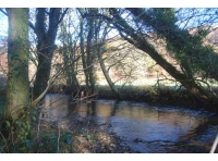 Inny Wood - SOLD
