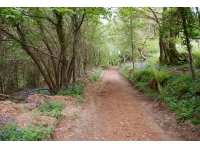 Top track, near the W boundary