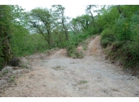Woodland entrance with parking/turning area