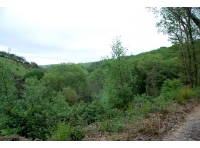 The view out to the south