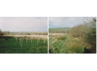 Kingsmoor Wood - SOLD