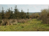 Lamberal Wood photo 3