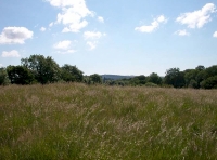 view out across the adjoining meadow