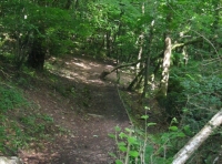 Limestone Wood - SOLD photo 5