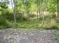 Lydacott Wood - SOLD