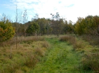 Merricks Wood - SOLD
