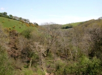 Milcombe Wood - SOLD