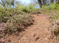 the track up to the viewpoint