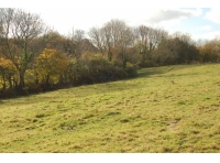 Ogwell Meadow - SOLD