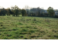 Ogwell Meadow - SOLD photo 2