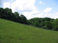 Ogwell Meadow - SOLD photo 4