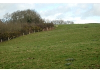 Ogwell Meadow - SOLD photo 5