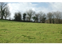 Ogwell Meadow - SOLD photo 6