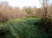 Pulworthy Wood