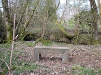 bench beside the stream