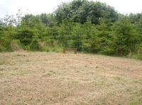 Redstone Wood - SOLD