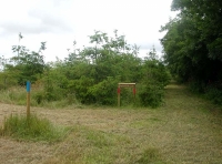 entrance to the wood