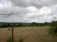 open grassy area along W boundary