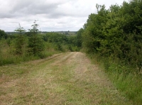 track in from the entrance gate