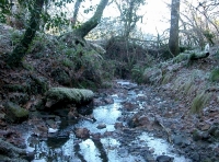 Sanders Wood