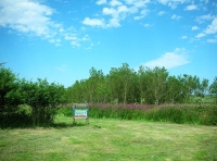 Thorne Wood - SOLD