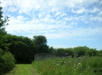 Thorne Wood photo 2