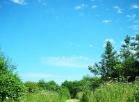 Thorne Wood photo 3