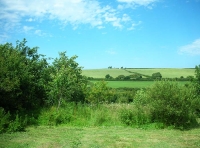 Thorne Wood photo 5