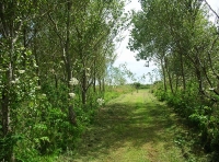 Thorne Wood photo 6