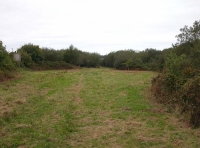 Toldish Wood