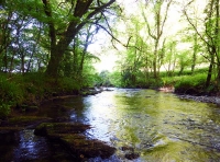 Tredinnick Wood - SOLD