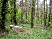 Tregoose Wood - SOLD