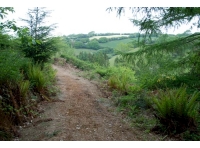 Looking north from the top track