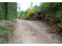 Lower track with parking/passing place
