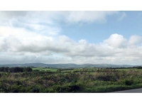 Treven Wood - SOLD