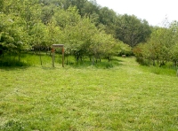 Upcott Wood - SOLD