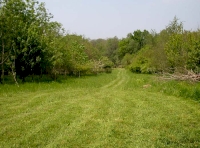 Looking towards the entrance from near to the SE corner